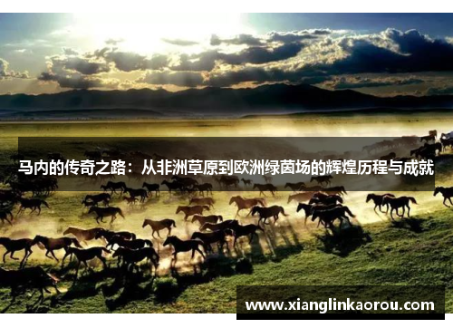 马内的传奇之路：从非洲草原到欧洲绿茵场的辉煌历程与成就