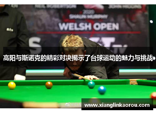 高阳与斯诺克的精彩对决揭示了台球运动的魅力与挑战