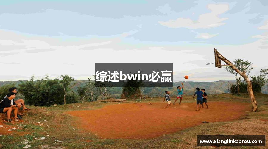 综述bwin必赢